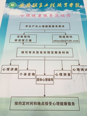 心理健康服务流程图